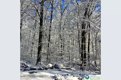 Spring Court, Pike, PA 18324 - Photo 2