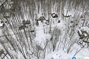 102 Chitimacha Dr, Coolbaugh Twp, PA 18347 - Photo 48