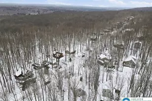 102 Chitimacha Dr, Coolbaugh Twp, PA 18347 - Photo 50