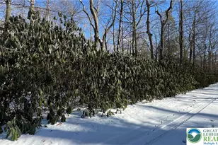 Oakland Dr, Kidder Twp, PA 18210 - Photo 2