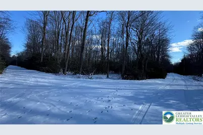 Oakland Drive, Kidder Twp, PA 18210 - Photo 4