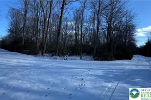 Oakland Dr, Kidder Twp, PA 18210 - Photo 4