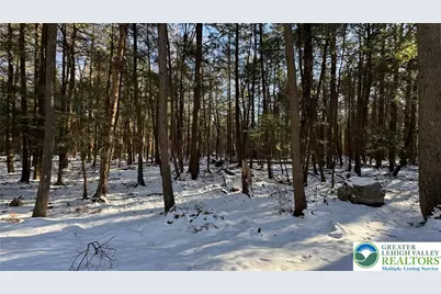 Treetop Lane, Kidder Twp, PA 18210 - Photo 1