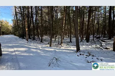 Treetop Lane, Kidder Twp, PA 18210 - Photo 2