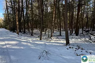 Treetop Ln, Kidder Twp, PA 18210 - Photo 2