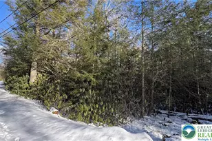 Driftwood Dr, Kidder Twp, PA 18210 - Photo 2