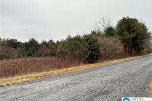 Erie Ct, Chestnuthill Twp, PA 18330 - Photo 6