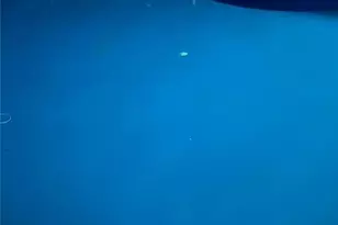 145 Hawk Rd, Franklin Twp, PA 18235 - Photo 26