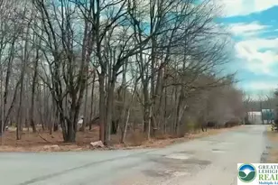 44 Sekani Trl, Penn Forrest, PA 18210 - Photo 4