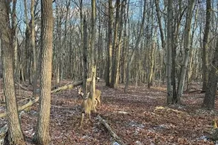 124 Ash Dr, Long Pond, PA 18334 - Photo 1