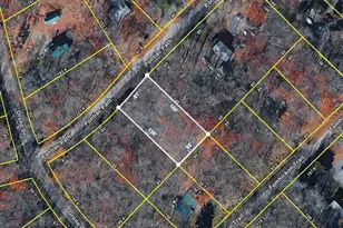 255 Pontiac Path Trail, Pocono Lake, PA 18347 - Photo 6