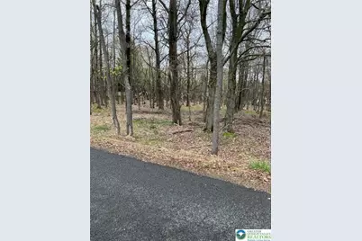 255 Pontiac Path Trail #12, Pocono Lake, PA 18347 - Photo 1