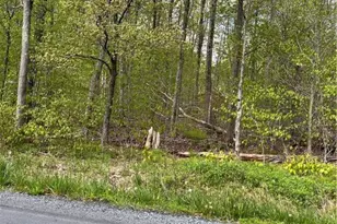 255 Pontiac Path Trail, Pocono Lake, PA 18347 - Photo 4