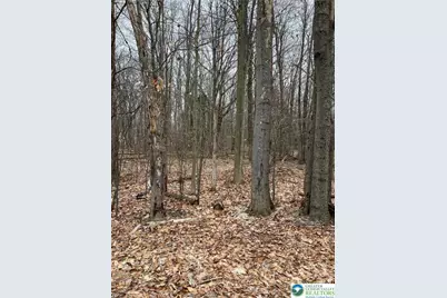 255 Pontiac Path Trail #12, Pocono Lake, PA 18347 - Photo 2