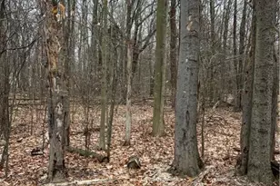 255 Pontiac Path Trail, Pocono Lake, PA 18347 - Photo 2