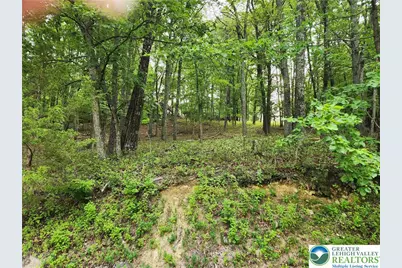 Seneca Road, East Stroudsburg, PA 18302 - Photo 2