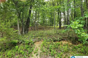 Seneca Rd, East Stroudsburg, PA 18302 - Photo 2