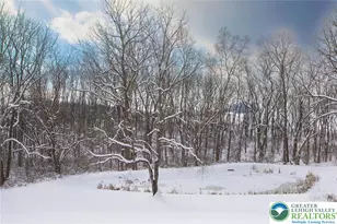 220 Dietrich Rd, Albany Twp, PA 19529 - Photo 88