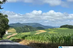 220 Dietrich Rd, Albany Twp, PA 19529 - Photo 94