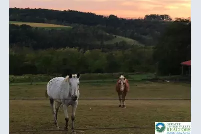 220 Dietrich Road, Albany Twp, PA 19529 - Photo 98