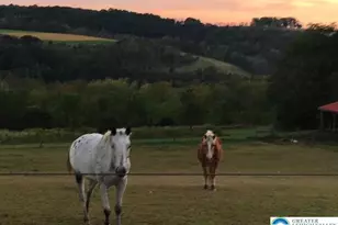 220 Dietrich Rd, Albany Twp, PA 19529 - Photo 98