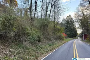 Preacher Camp Dr, Towamensing Twp, PA 18235 - Photo 2