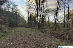 Preacher Camp Dr, Towamensing Twp, PA 18235 - Photo 4