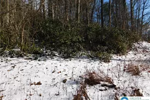 0 Claremont Ave, Rush Twp, PA 18252 - Photo 4