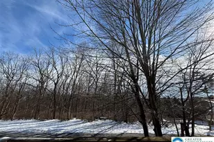 1896 Georgia Dr, Whitehall Twp, PA 18052 - Photo 22