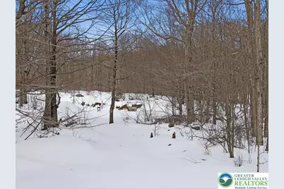 134 Split Rock Road, Newfoundland, PA 18445 - Photo 68