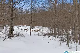 134 Split Rock Rd, Newfoundland, PA 18445 - Photo 68