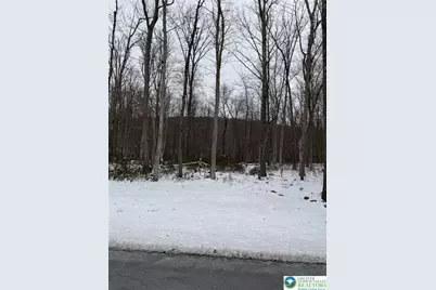 Lake Drive, Rush Twp, PA 18240 - Photo 2