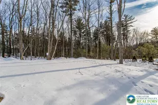 144 Cameilla, Polk Twp, PA 18058 - Photo 36