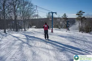 103 Ashley Ct, Lehman Twp, PA 18324 - Photo 56