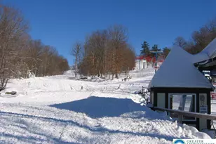 103 Ashley Ct, Lehman Twp, PA 18324 - Photo 60