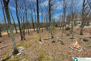 103 Ashley Ct, Lehman Twp, PA 18324 - Photo 46