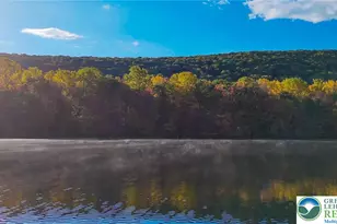 176 Lake Dr, Rush Twp, PA 18240 - Photo 54