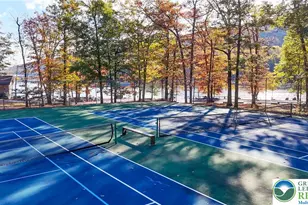 176 Lake Dr, Rush Twp, PA 18240 - Photo 58