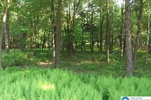 Stony Mountain Rd, Penn Forrest, PA 18210 - Photo 18