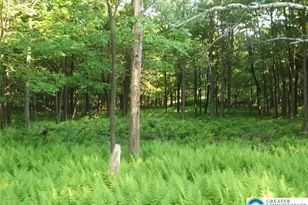 Stony Mountain Rd, Penn Forrest, PA 18210 - Photo 12