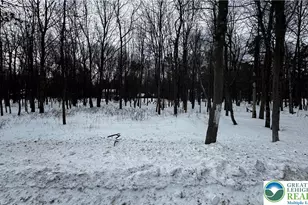 Stony Mountain Rd, Penn Forrest, PA 18210 - Photo 2