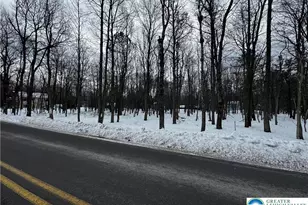 Stony Mountain Rd, Penn Forrest, PA 18210 - Photo 8