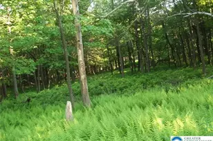 Stony Mountain Rd, Penn Forrest, PA 18210 - Photo 14