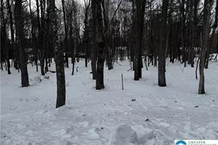 Stony Mountain Rd, Penn Forrest, PA 18210 - Photo 4