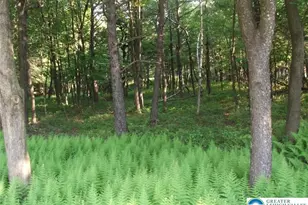 Stony Mountain Rd, Penn Forrest, PA 18210 - Photo 16