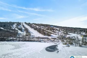 82 Doe, Kidder Twp, PA 18624 - Photo 32