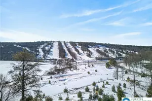 82 Doe, Kidder Twp, PA 18624 - Photo 36