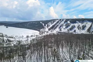 82 Doe, Kidder Twp, PA 18624 - Photo 30