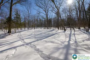 218 Blue Jay Ct, Bushkill, PA 18324 - Photo 6