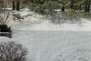 1600 Greystone Cir, Lower Macungie, PA 18011 - Photo 20